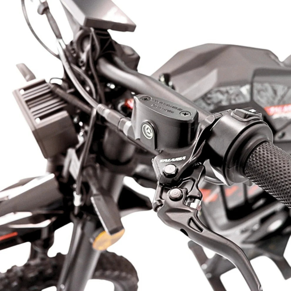 Sting TL5500 PRO L1e con ECOINCENTIVO TALARIA