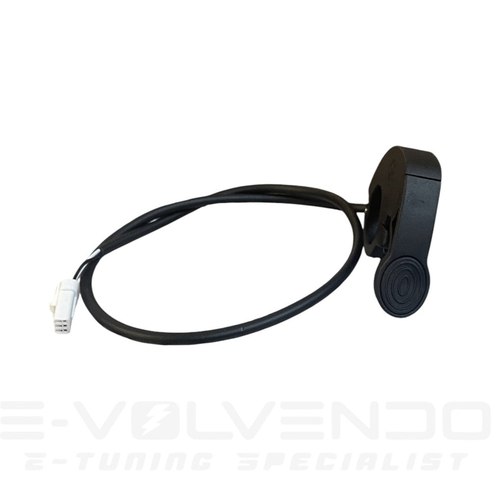 Regen ORIGINALE - TALARIA KOMODO