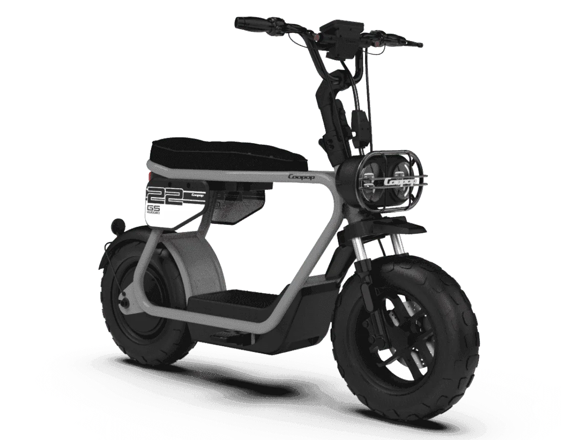 Coopop Rugged GS L1e mit Umweltbonus
